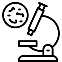 Life Sciences